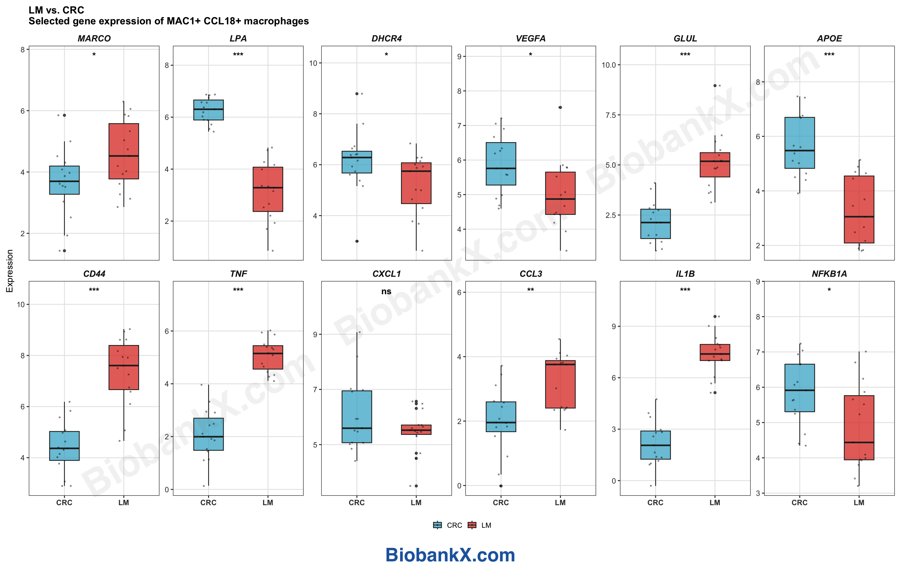 基因表达箱线图